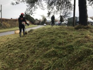 Photo of three people trimming and planting